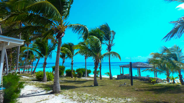 L'hôtel sélectionné par notre agent adékua est sur le spot de kite de Cat Island