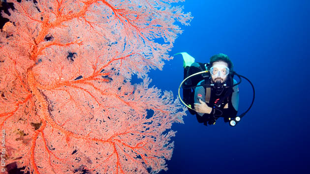 plongée au vietnam en réserve sous-marine