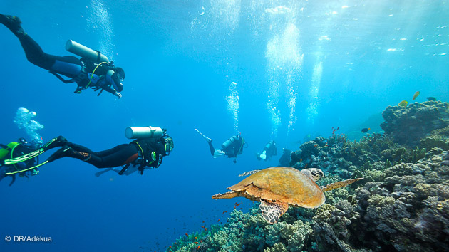plonger en mer rouge sur un bateau luxe
