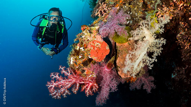 voyage plongée aux philippines
