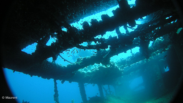 croisière plongée au soudan
