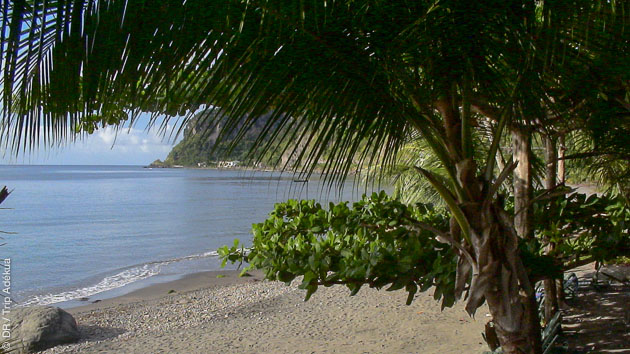 La Dominique, une ile aux multiples facettes, plongée, randonnée et détente : du plaisir pour tous !
