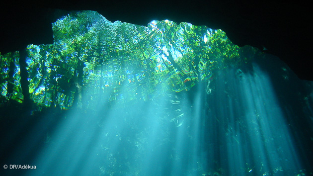 Plongées de rêve dans les cénotes au Yucatan, près de Playa del Carmen au Mexique