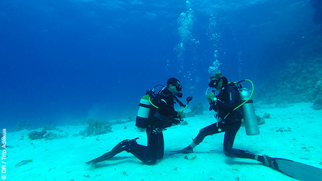 Stages et séjours plongée à Safaga