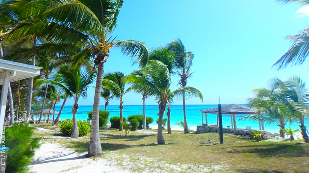 L'île de Cat, aux Bahamas, à découvrir sur et sous l'eau : plage de sable rose, plongée bleue et soleil