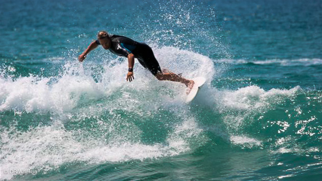 location maison et surf à Hossegor