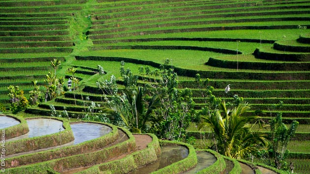 vacances à Bali pour la randonnée
