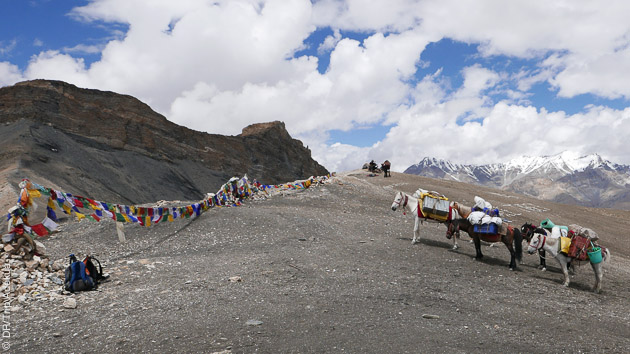 voyage trekking au Ladak
