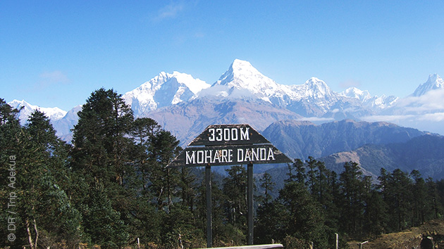 https://trekking.voyages-adekua.fr/sejour-trek/nepal/randonnee