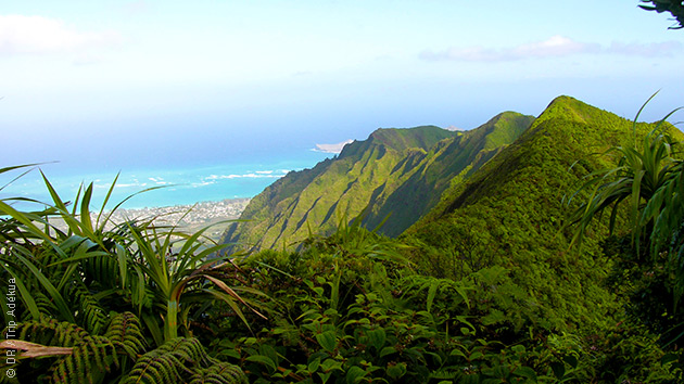 Paysages fascinants à Hawaii : un trek entre ciel, terre et mer