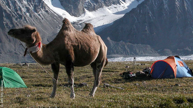 Trekking méharée en Mongolie