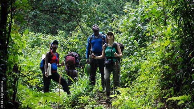 Randonnées pédestres dans la forêt équatoriale au Cameroun