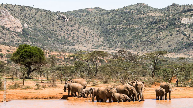 Trekking en pays maasaï : rencontre avec les peuples locaux et découverte des réserves et des animaux