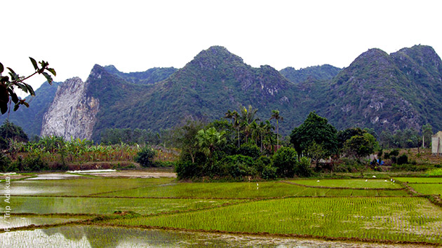 Itinéraire trek au coeur des rizières dans la vallées du Suoi Nam au Vietnam