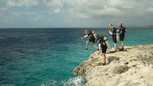 Plongée du bord à Bonaire, tombant et shore diving des Caraïbes